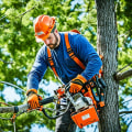 Safety Protocols and Equipment Used by Arborists - Ensuring Professional and Reliable Tree Care in Pflugerville, Texas