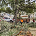 Insurance Requirements for Arborists in Pflugerville, Texas: Ensuring Professional and Reliable Tree Trimming Services