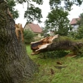 Safety Precautions for Storm Damage Clean-Up: A Comprehensive Guide to Protecting Your Trees and Property