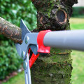 Properly Shaping Trees: A Guide for Professional Tree Trimming Services in Pflugerville Texas