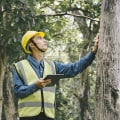 How to Verify an Arborist's Insurance and Safety Practices