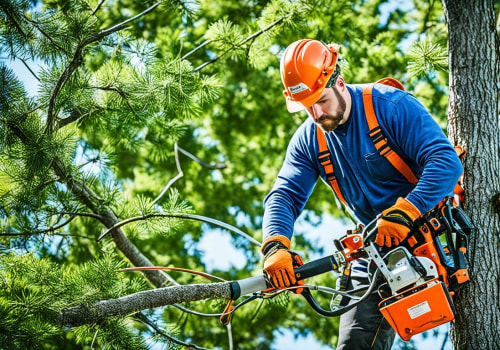 Safety Protocols and Equipment Used by Arborists - Ensuring Professional and Reliable Tree Care in Pflugerville, Texas