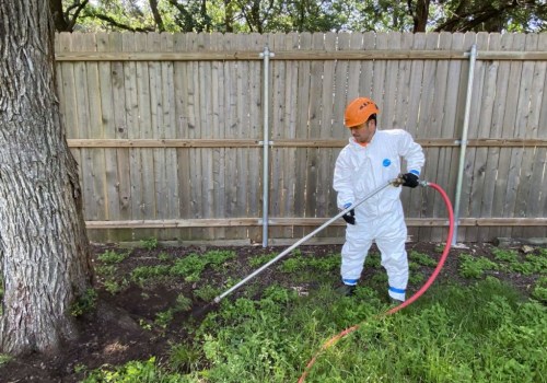 Tips for Proper Watering and Fertilization: Caring for Your Trees in Pflugerville, Texas