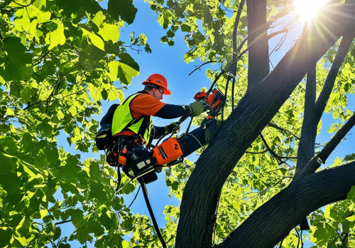 The Benefits of Regular Tree Trimming: Keep Your Trees Healthy and Safe