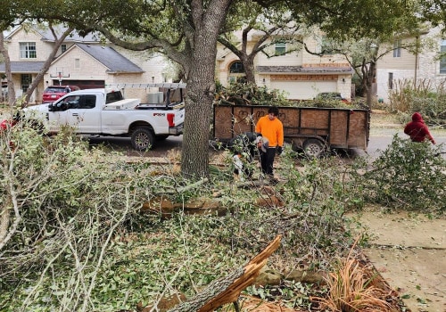 Examples of Successful Tree Care Projects in Pflugerville, Texas