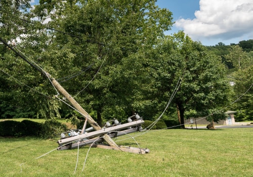 Tips for Dealing with Fallen Power Lines Near Trees